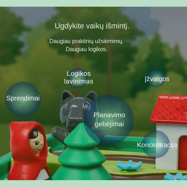 Montessori „Raudonkepuraitės“ dėlionė